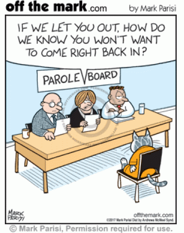 Cat S Parole Board Off The Mark Cartoons