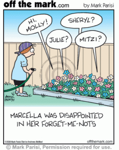 Forgetful Forget-Me-Nots Disappoint Gardener - off the mark cartoons